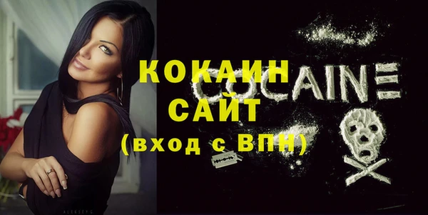 ECSTASY Алзамай