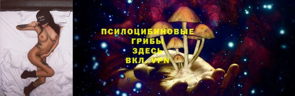круглые Алексеевка