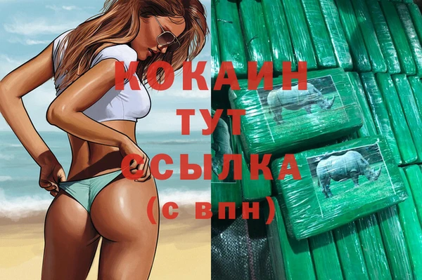 ECSTASY Алзамай