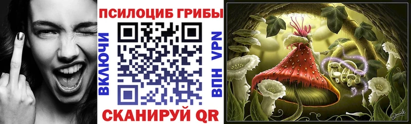 закладка Нестеров Галлюциногенные грибы ЛСД